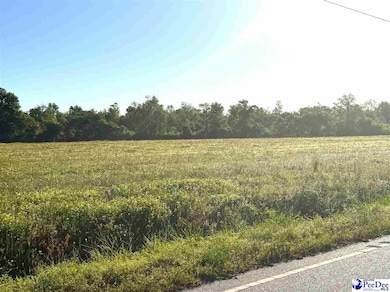 Tract 4 State Road S-21-881, Scranton, SC 29591 - photo 3