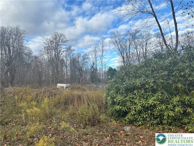 27 Richland Rd, Covington Township, PA 18444 - photo 4