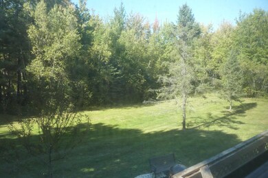 Mostly level yard