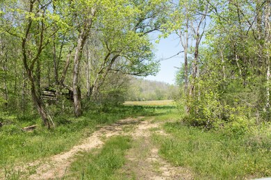 7262 Sinking Creek Rd, Linden, TN 37096 - photo 3