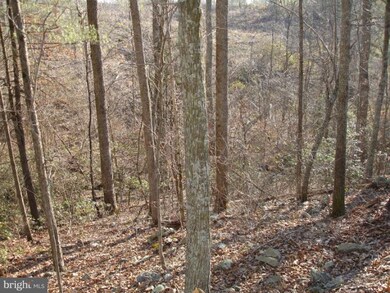 0 Curling Creek Ln unit 1003865754, Rixeyville, VA 22737 - photo 5