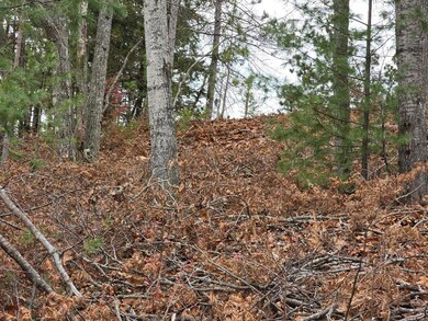 V/L 0.25AC Lost Lake Rd, Bismarck Township, MI 49743 - photo 4