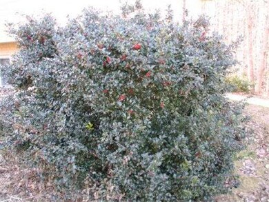 966 Bay Rd, Amherst, MA 01002 - photo 5