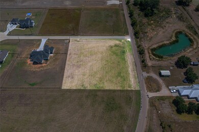 0 Bradey Ln, East Bernard, TX 77435 - photo 4