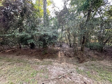 0 Mcdaniel, Magnolia, TX 77354 - photo 5