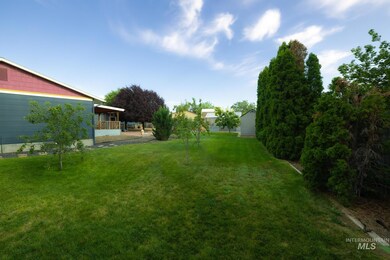 View of grassy yard