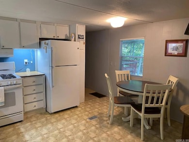 69 Downhill Rd, Mount Ida, AR 71957 - photo 2