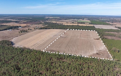 80AC NW 44th St, Jennings, FL 32053 - photo 5