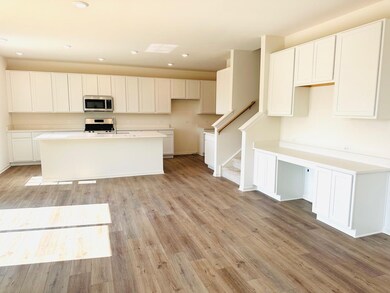 11110 Michigan Place, Crown Point, IN 46307 - photo 4