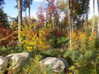 0 U S 302, Conway, NH 03818 - photo 4