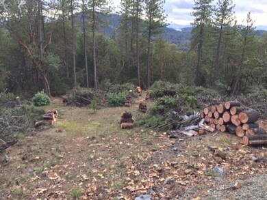 350 Rustic Canyon Dr, Grants Pass, OR 97526 - photo 3