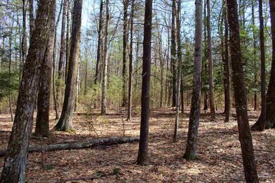 Parcel 1 Ridgeview Rd, Rochester, NY 12446 - photo 7