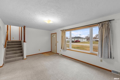 703 2nd St, Colona, IL 61241 - photo 3