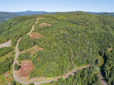 Lot 1 Gulch Brook Dr, Stewartstown, NH 03576 - photo 4