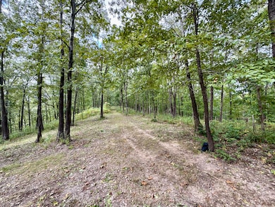 834 Lock 3 Rd, Batesville, AR 72501 - photo 4