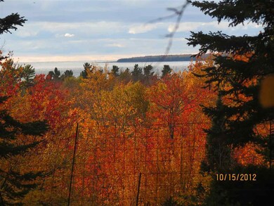 34715 Buff-Malloy unit Lots 1 & 2, Beaver Island, MI 49782 - photo 3