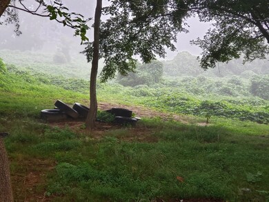 7965 Reynoldsburg Rd, Springville, TN 38256 - photo 7