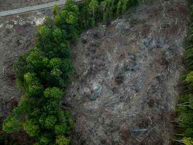 0 Ashley Rd unit 11613506, Brandon, MS 39042 - photo 7