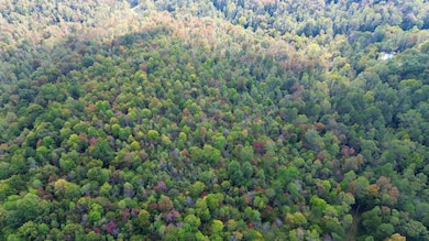 600 James Meece Rd, Somerset, KY 42501 - photo 5