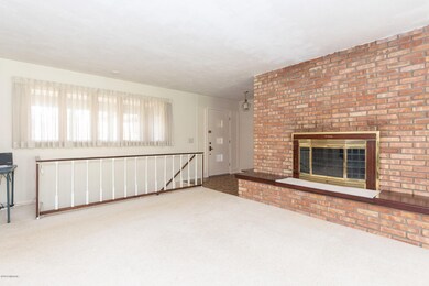 Living Room Fireplace