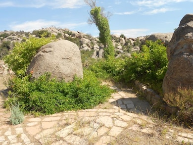 DSCN0902