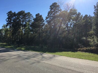 29323 Village Ridge Ct, Magnolia, TX 77355 - photo 3