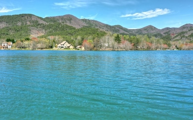 Additional View