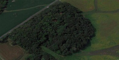 0 Holcomb School Rd, Freeburg, IL 62243 - photo 3