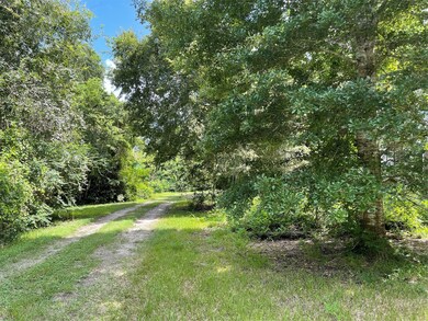 3103 County Road 310, Brazoria, TX 77422 - photo 5