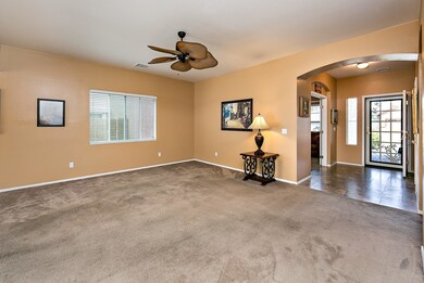 Great Room with Designer Ceiling Fan