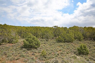 000 Kk Rd, Molina, CO 81646 - photo 6