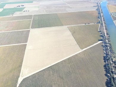 50725 Babel Slough Rd, Clarksburg, CA 95612 - photo 3