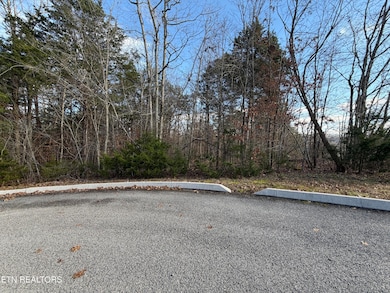 0 Divot Place unit 1323315, Tazewell, TN 37879 - photo 7