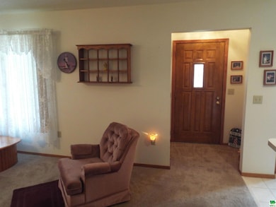 303 7th St, Sibley, IA 51249 - photo 3