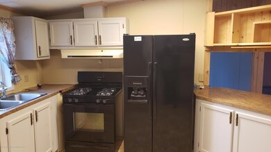 Kitchen range and fridge