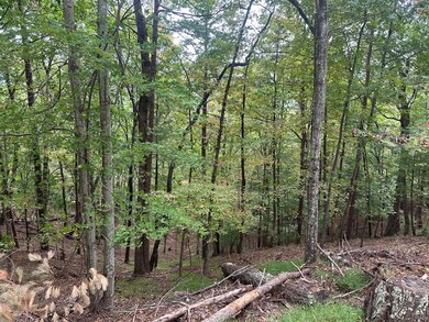 Lot A28 Laurel Ridge Dr, Ellijay, GA 30536 - photo 7