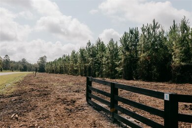 0 SE Family Rd unit Lot 6 GC500235, Lake City, FL 32025 - photo 2