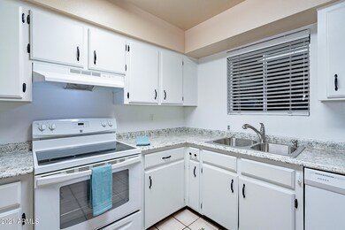 New Counters, Sink and Faucet