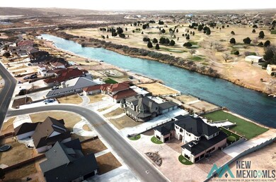 1706 W Riverside Dr, Carlsbad, NM 88220 - photo 6