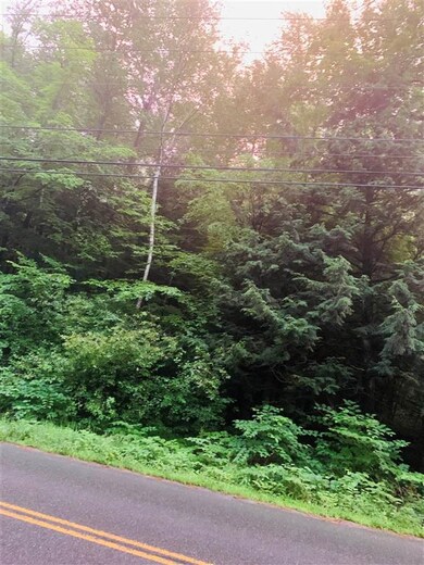 0 Kurn Hattin Rd unit 4872384, Westminster, VT 05158 - photo 3