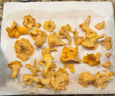 8050 Campbellton Redwine Rd, Palmetto, GA 30268 - photo 6