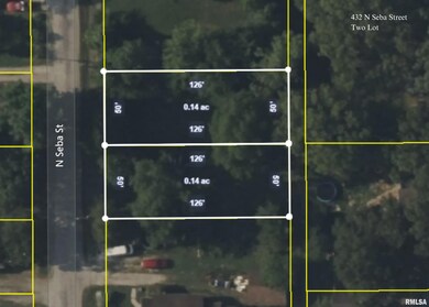 432 N Seba St, Hurst, IL 62949 - photo 4