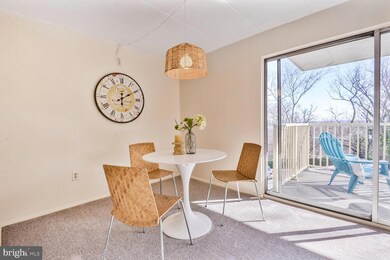 The Huntington Club unit 1C - 317, Alexandria, VA 22303 - photo 6