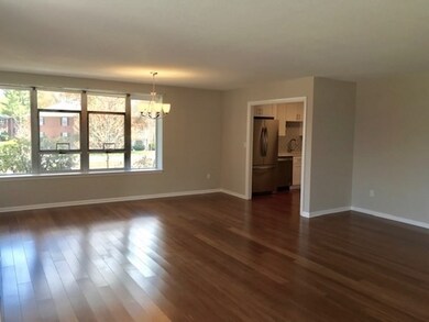 Hammond Park Condominiums unit 108, Chestnut Hill, MA 02467 - photo 4
