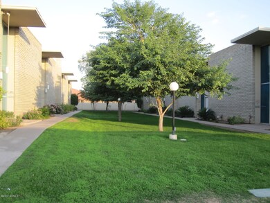 Manicured Green Belt