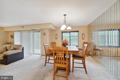 203 Yoakum Pkwy unit 507, Alexandria, VA 22304 - photo 7