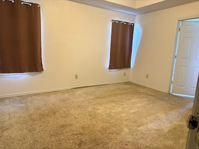 PRIMARY MASTER BEDROOM  AREA