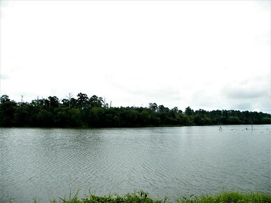 17 Lookout Ridge, Huntsville, TX 77340 - photo 3