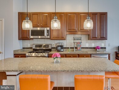 42840 Cedar Hedge St, Chantilly, VA 20152 - photo 6