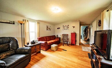 1244 Shady Rest Dr, Newport, TN 37821 - photo 7